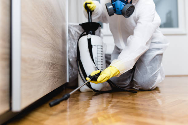 Best Flea Control Services  in Lamont, MI