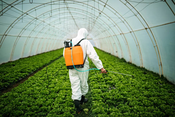 Reliable Lamont, MI Pest Control Solutions