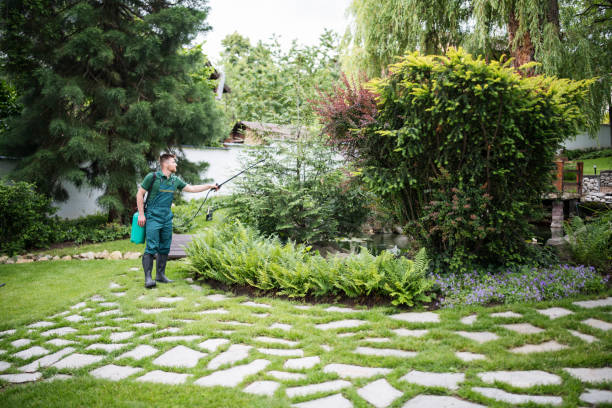 Best Pest Control for Businesses  in Lamont, MI