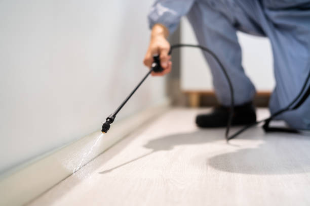 Flea Control Services in Lamont, MI