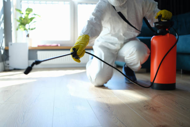 Best Bed Bug Extermination  in Lamont, MI