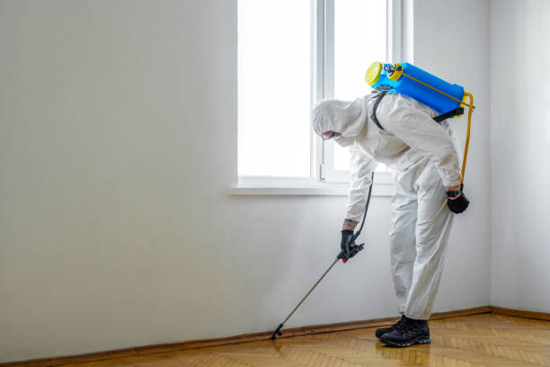 Best Ant Control Services  in Lamont, MI