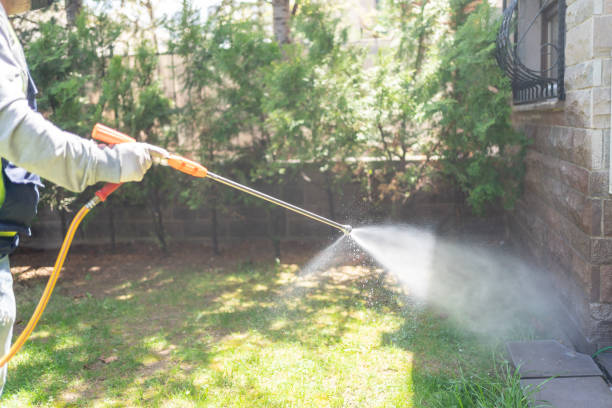 Best Residential Pest Control  in Lamont, MI