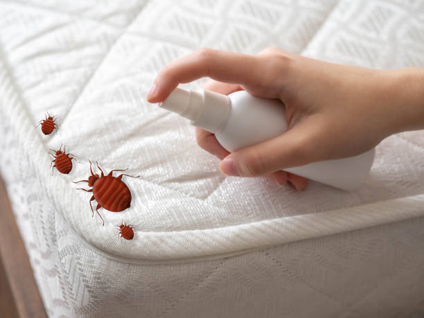 Best Pest Prevention Services  in Lamont, MI