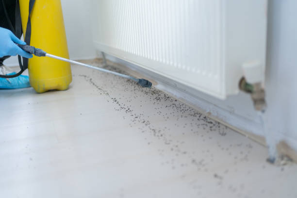 Best Pest Control for Homes  in Lamont, MI