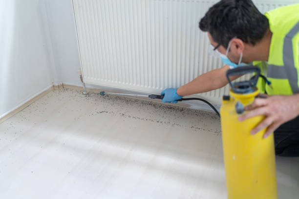 Best Mosquito Control Services  in Lamont, MI