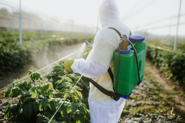 Best Affordable Pest Control Services  in Lamont, MI